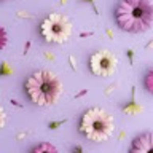 Meet your Posher, Robyn